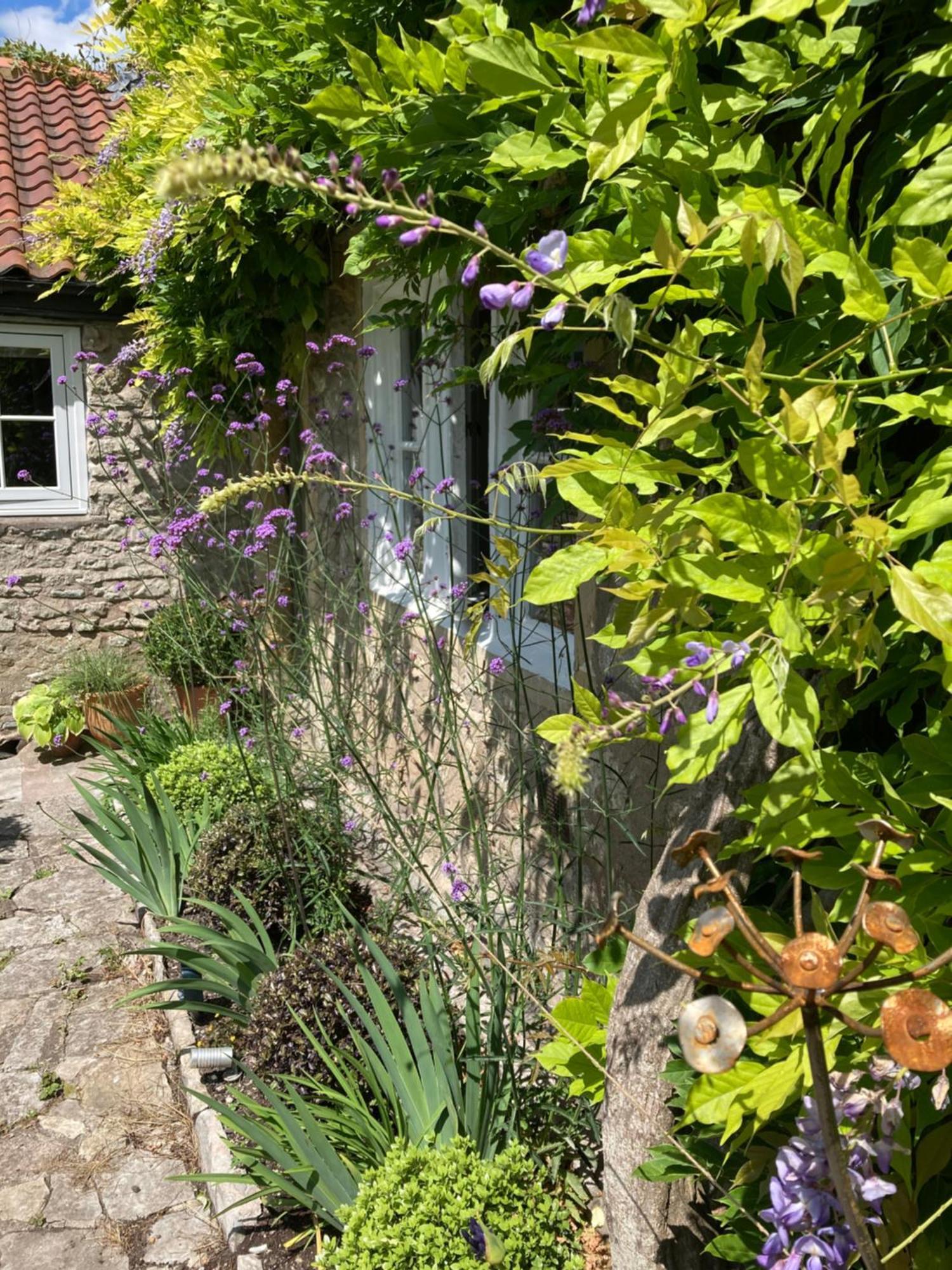 Maplestone Bed & Breakfast Шептън Малет Екстериор снимка